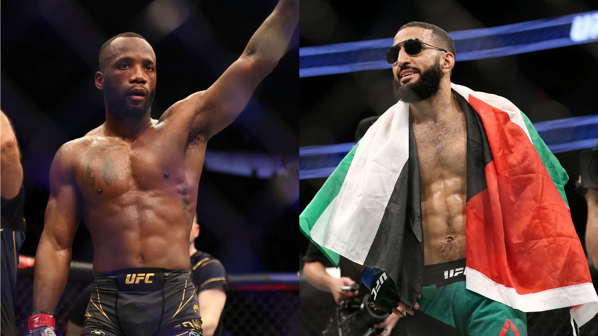 密特在本菲 密特在本菲