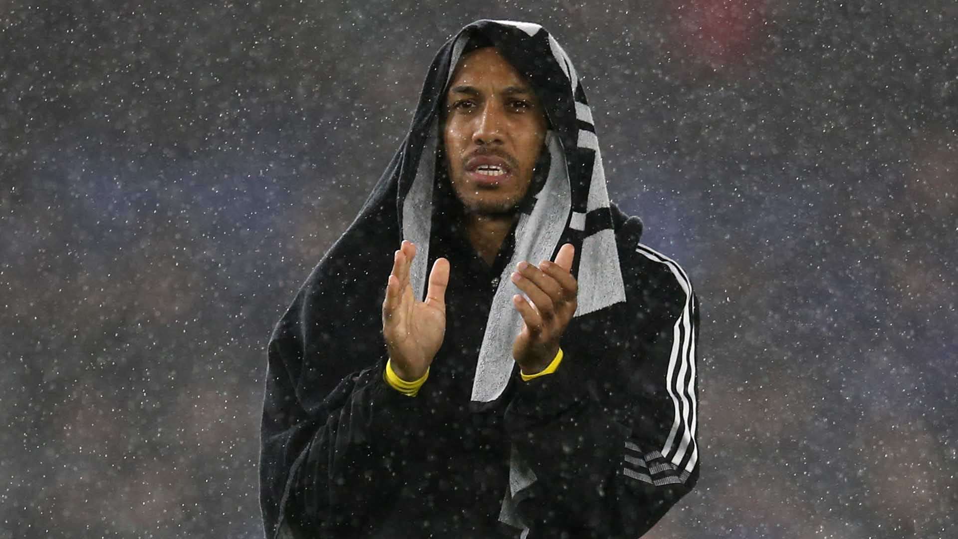 上半场的乌 上半场的乌